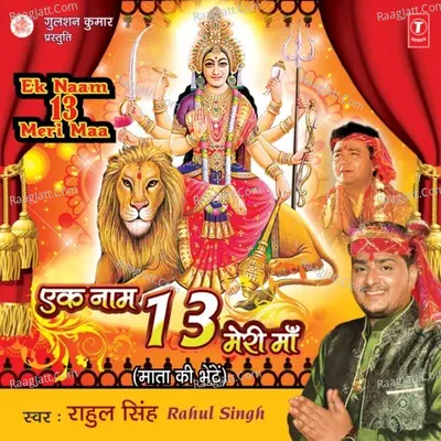 Ek Naam 13 Meri Maa Poster