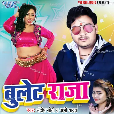 Bullet Raja Poster