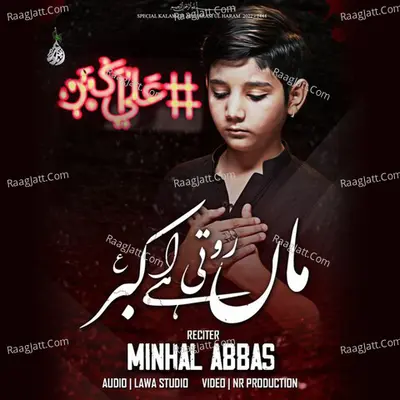 Minhal Abbas Image