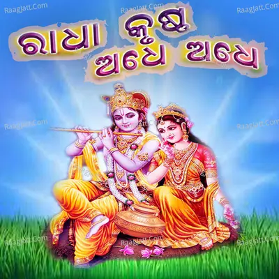 Radha Krushna Adhe Adhe Poster