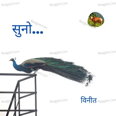 Vineet
