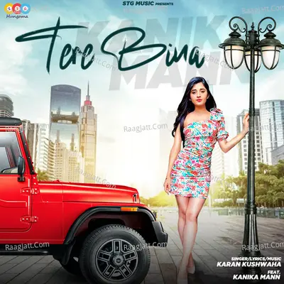 Tere Bina