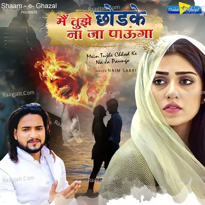 Main Tujhe Chhod Ke Na Ja Paunga Cover