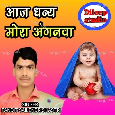 Pandit Sailendra Shastri