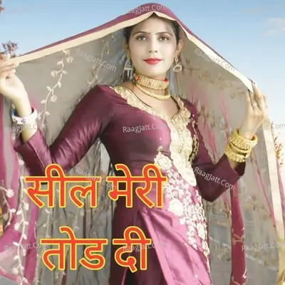 Seel Meri Tod Dee Poster