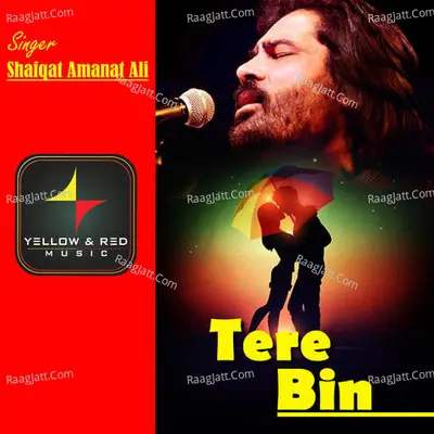 Tere Bin Cover