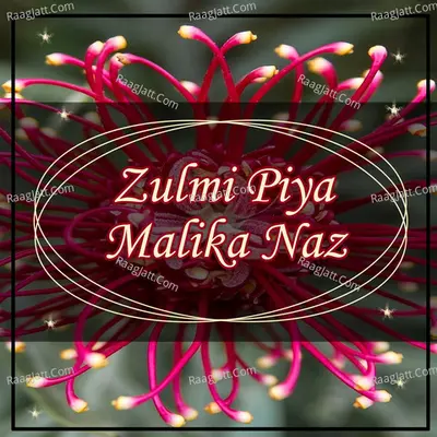 Zulmi Piya - Malika Naz
