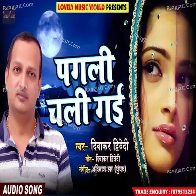 Pagali Chali Gai Cover