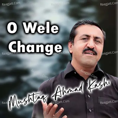 O Wele Change Poster
