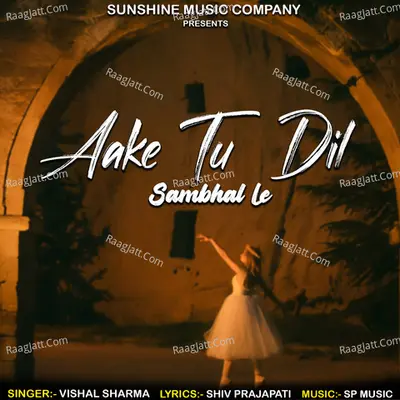 Aake Tu Dil Sambhal Le Cover