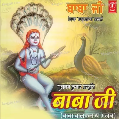 Baba Ji Poster