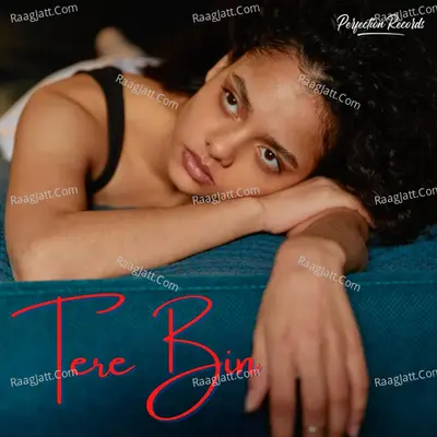 Tere Bin Cover