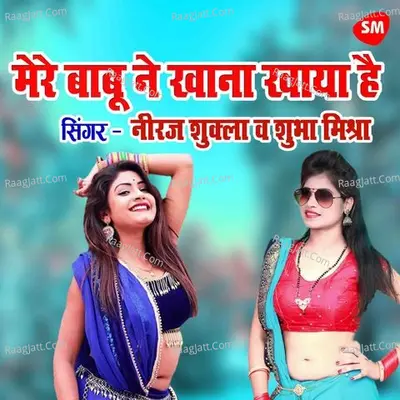Mere Babu Ne Khana Khaya Hai Kya Cover