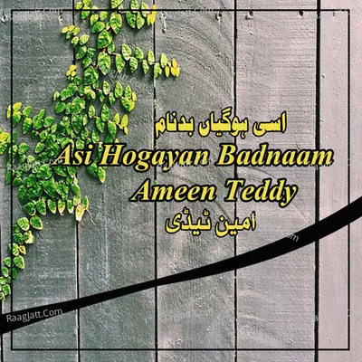 Asi Hogayan Badnaam - Ameen Teddy