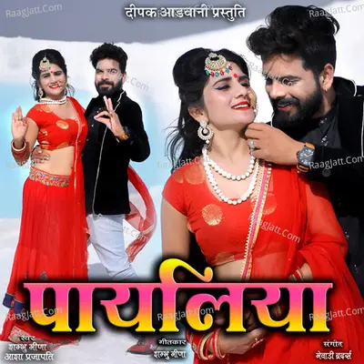 Payliya
