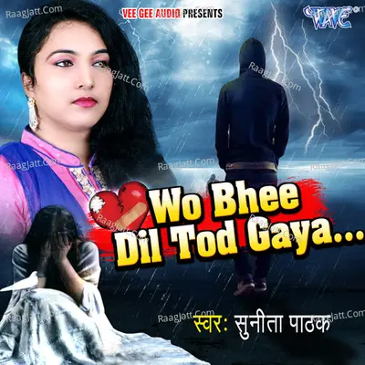 Who Bhee Dil Tod Gaya - Sunita Pathak