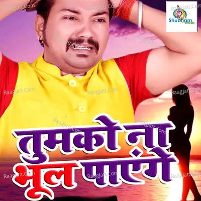 Tumko Na Bhool Payenge Cover
