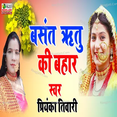 Basant Ritu Ki Bahar Cover