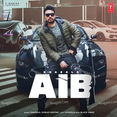 Aib Cover