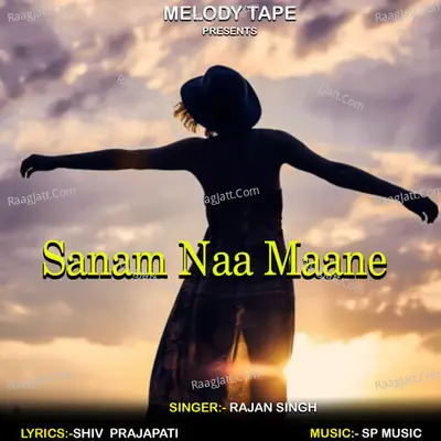 Sanam Naa Maane Cover