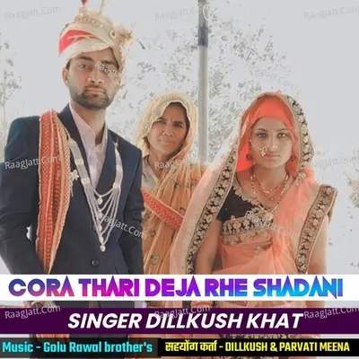 Chora thari deja rhe shadani Cover