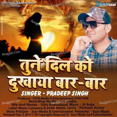 Tune Dil Ko Dukhaya Baar Baar Cover