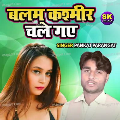 Balam Kashmir Chale Gaye Cover