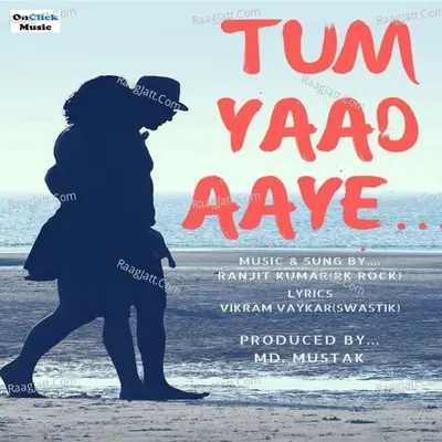Tum Yaad Aaye Cover