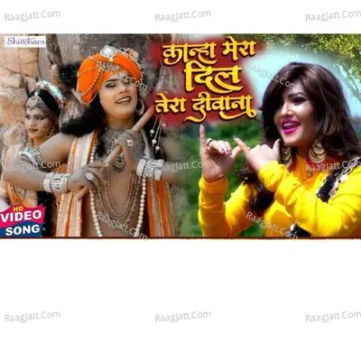Kanha Mera Dil Tera Deewana Cover