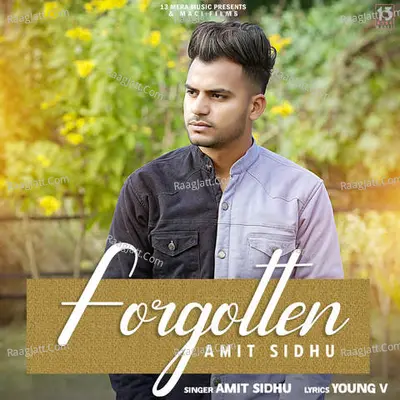 Amit Sidhu Image