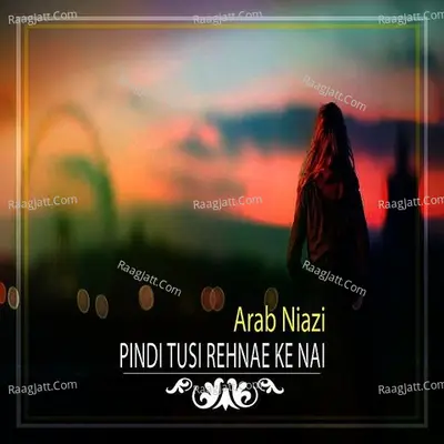 Pindi Tusi Rehnae Ke Nai Poster