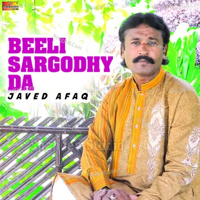Beeli Sargodhy Da - Single