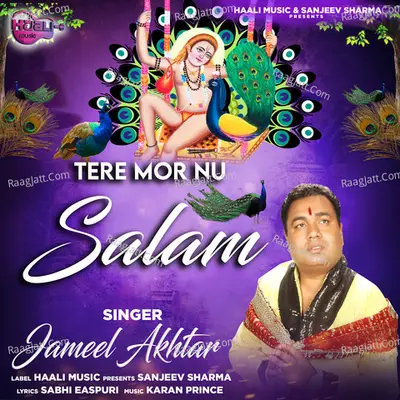Tere Mor Nu Salam Cover