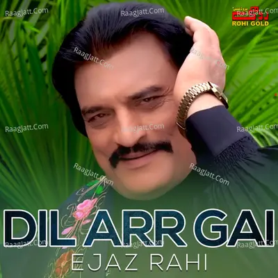 Dil Arr Gai Cover
