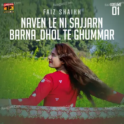 Naven Le Ni Sajjarn Barna_Dhol Te Ghummar, Vol. 1 - Faiz Shaikh