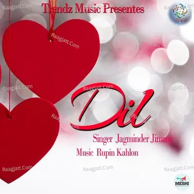 Dil Cover