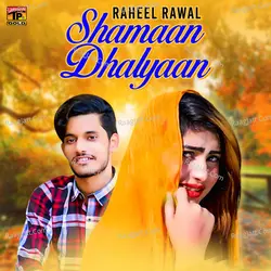 Shamaan Dhalyaan - Single