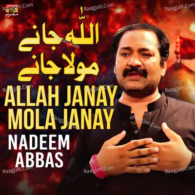 Allah Janay Mola Janay - Single