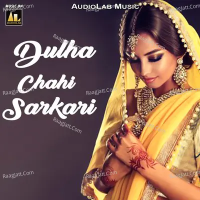 Dulha Chahi Sarkari Poster
