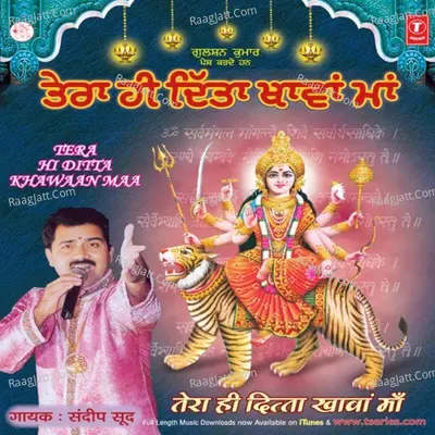 Tera Hi Ditta Khawan Maa Poster
