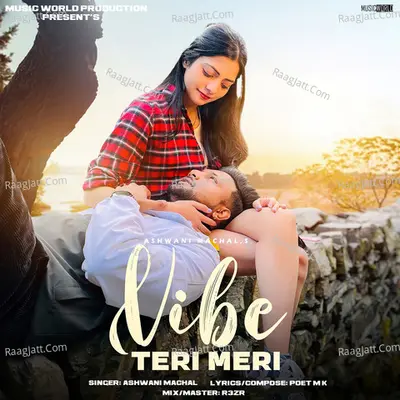 Vibe Teri Meri