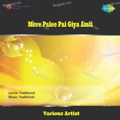 Mere Palle Pai Giya Amli Poster