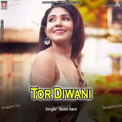 Tor Diwani -Dj