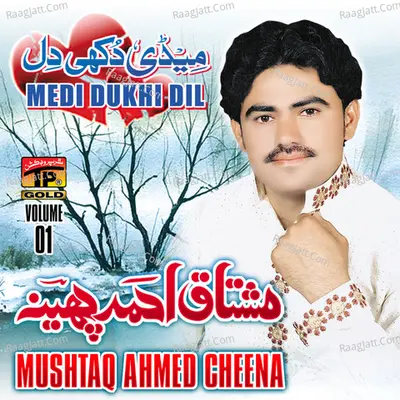 Medi Dukhi Dil, Vol. 01 Poster