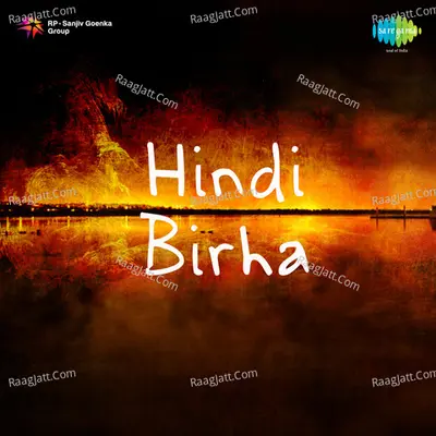 Hindi Birha Poster