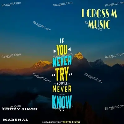 If You Never Try, You'll Never Know Cover