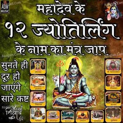 12 Jyotirlinga Cover