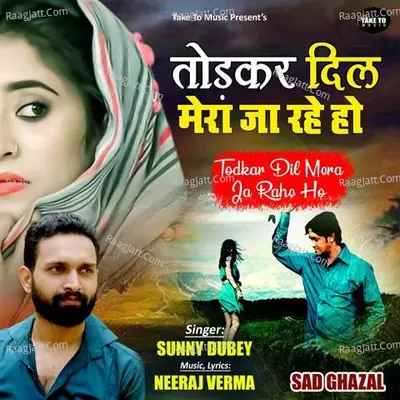 Todkar Dil Mera Ja Rahe Ho Cover
