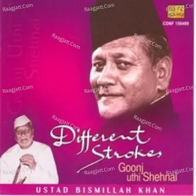Different Strokes - Ustad Bismillah Khan Cover