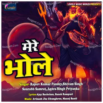 Mere Bhole Poster